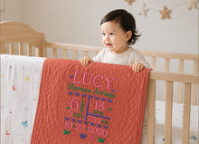 Baby Crib Quilt with Butterfly Embroidery & Birth Stats Gift